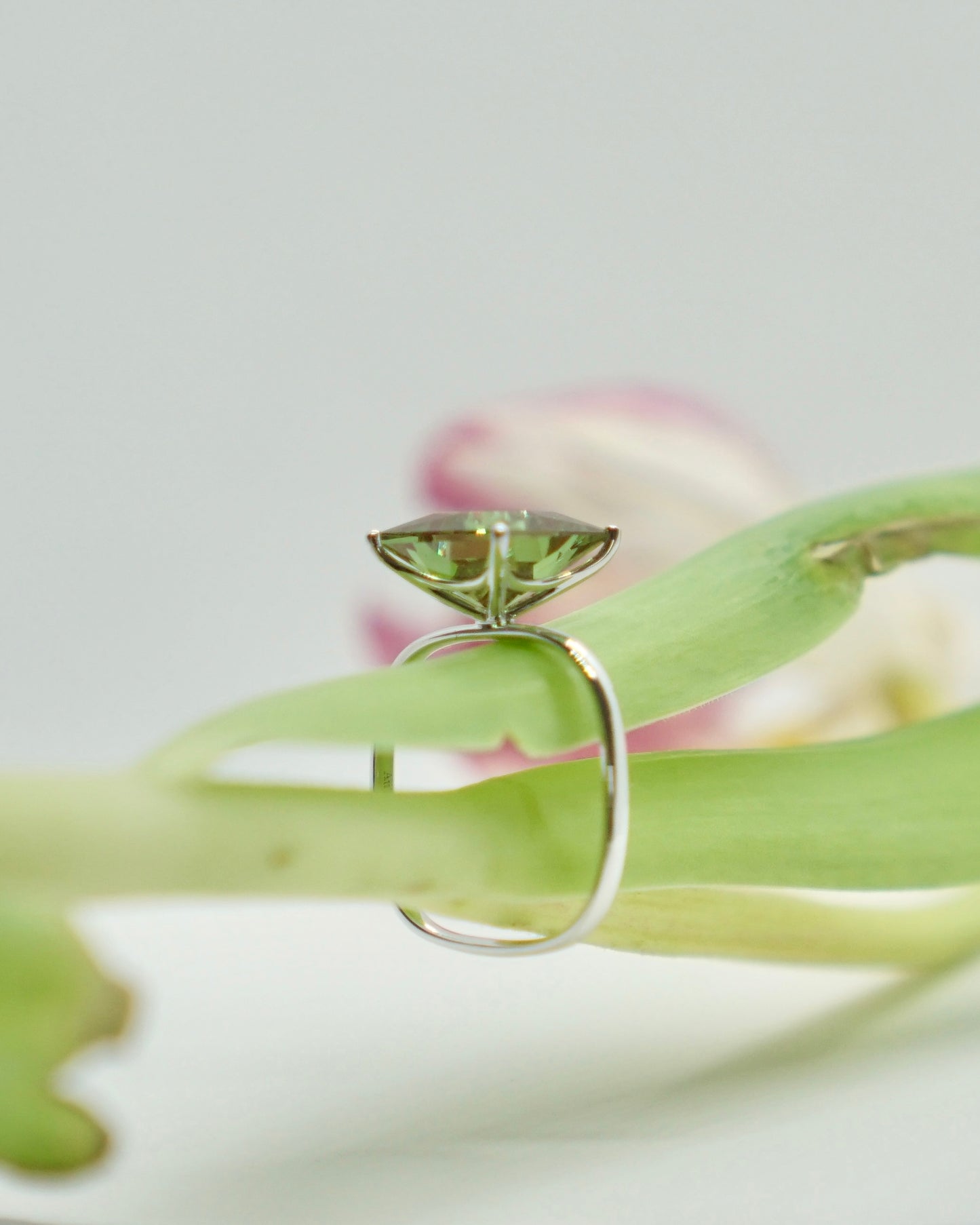 Rainforest Ring